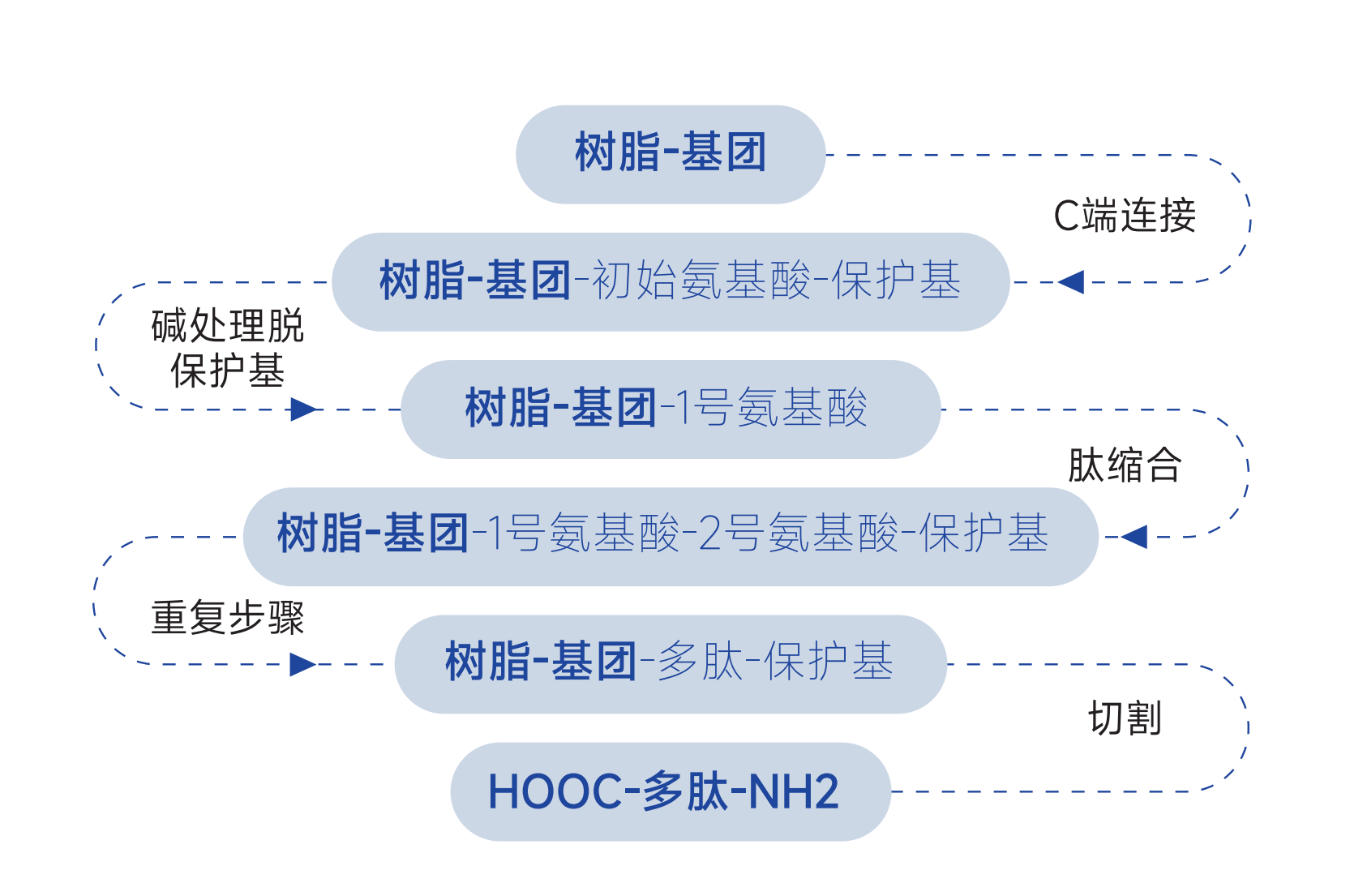 海普纯化产品-多肽固相合成载体